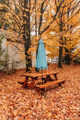 an umbrella sitting on a picnic table in the leaves at Chez Léo par Maison Dudley in Lac-Mégantic