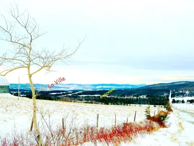 a snow covered field with a tree and a fence at Le Gîte Ambrelane in Thetford Mines
