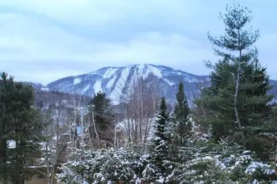 a snow covered mountain in the distance with trees at LeChamplain #206 CITQ#248275 in Bromont