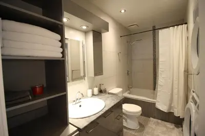 a bathroom with a sink and a toilet and a shower at Luxueux - Deco moderne, Rosemont in Montréal
