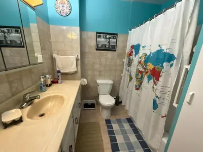 a bathroom with a sink and a toilet and a shower curtain at L'Oasis Des Nomades in Trois-Rivières