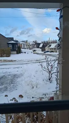 a view from a window of a yard covered in snow at Maison chaleureuse, énergétique et florale in Sherbrooke