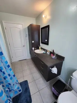 a bathroom with a sink and a toilet at Maison chaleureuse, énergétique et florale in Sherbrooke