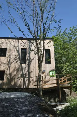 a house with a bench in front of a tree at Cabin Zoobox 57 in Eastman