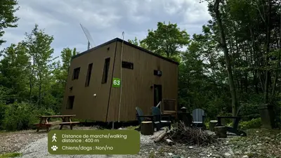a tiny house in the middle of a forest at Cabin Zoobox 63 in Eastman