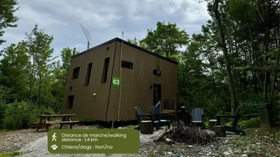 a tiny house in the middle of the woods at Cabin Zoobox 63 in Eastman