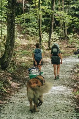 two people and a dog walking down a trail at Cabin Zoobox 69 in Eastman