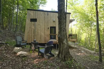 a cabin in the woods with two chairs and a tree at Cabin Zoobox 69 in Eastman