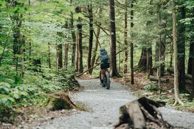 a person riding a bike on a trail in the woods at Cabin Zoobox 75 in Eastman