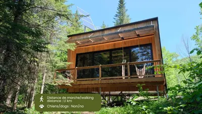 a tree house in the woods with a large window at Cabin Zoobox 89 in Eastman