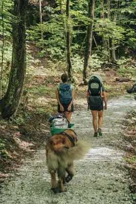 two people and a dog walking down a trail at Cabin Zoobox 89 in Eastman
