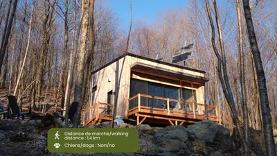 a tree house in the middle of the woods at Cabin Zoobox 79 in Eastman