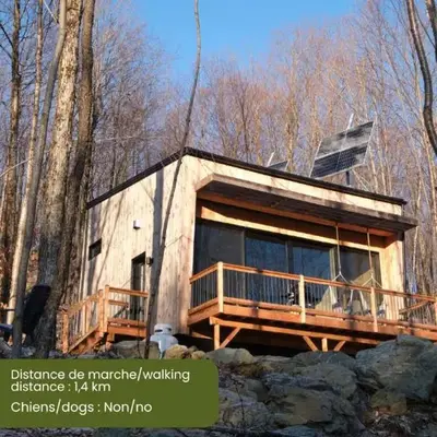 Cabin Zoobox 79