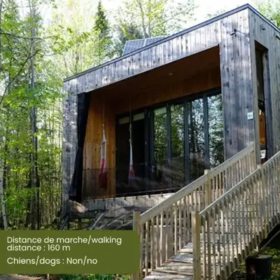 Cabin Zoobox des cervidés