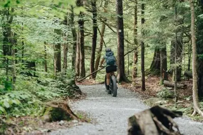 a person riding a bike on a trail in the woods at Cabin Zoobox 54 in Eastman