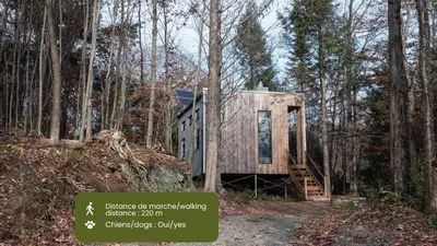a tiny house in the woods with a staircase at Cabin Zoobox 54 in Eastman