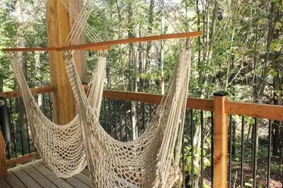 two hammocks on a deck with trees in the background at Cabin Zoobox 54 in Eastman