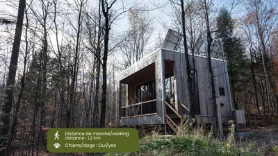 a tree house in the middle of the woods at Cabin Zoobox 56 in Eastman