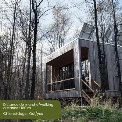 Cabin Zoobox 56