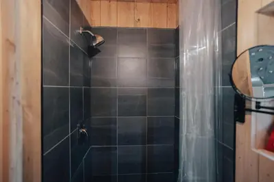 a bathroom with a shower with black tile at Cabin Zoobox 88 in Eastman