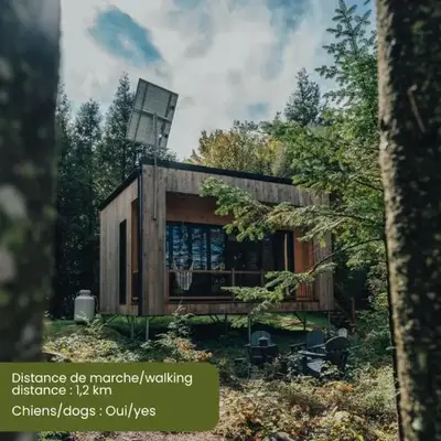 Cabin Zoobox 88