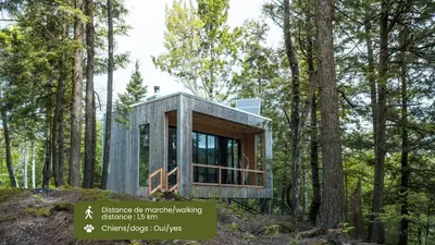 a tiny house in the woods with trees at Cabin Zoobox 65 in Eastman