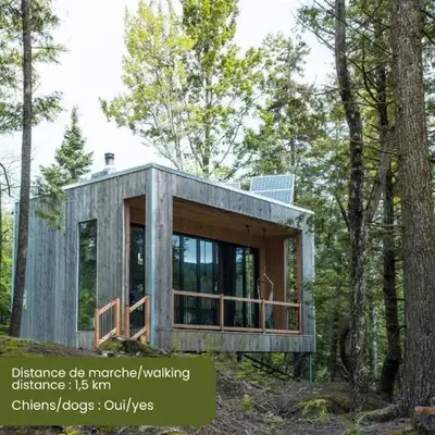 Cabin Zoobox 65