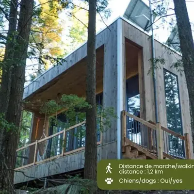 Cabin Zoobox 66