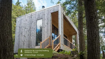 a tiny house in the woods with a man on the roof at Cabin Zoobox 67 in Eastman