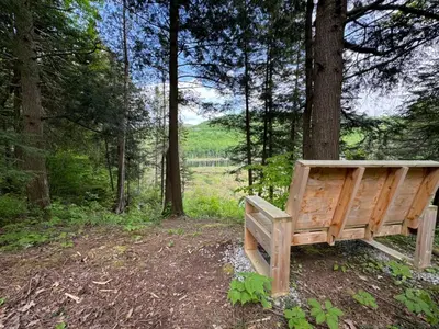 a wooden bench sitting in the middle of a forest at Cabin Zoobox 68 in Eastman