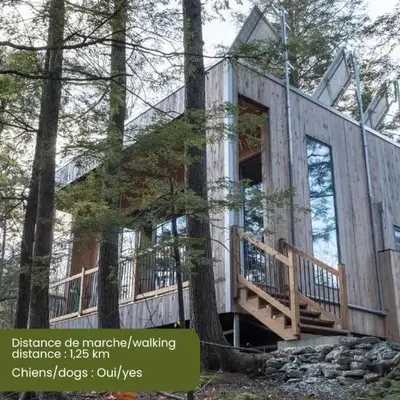 Cabin Zoobox 68