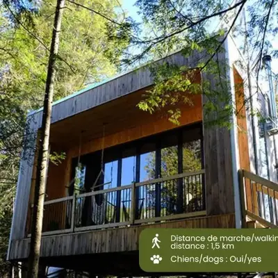 Cabin Zoobox 81