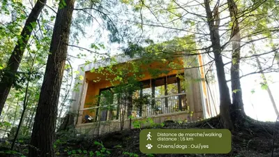 a building in the middle of a forest with trees at Cabin Zoobox 83 in Eastman