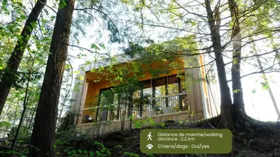 a building in the middle of a forest with trees at Cabin Zoobox 83 in Eastman