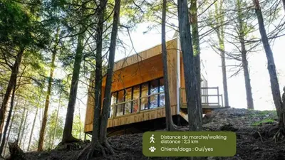 a rendering of a house in the woods at Cabin Zoobox 84 in Eastman