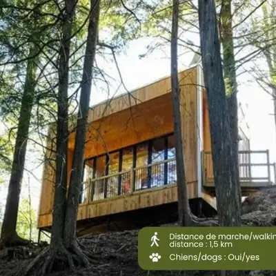 Cabin Zoobox 84