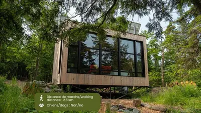 a tiny house in the middle of a forest at Cabin Zoobox 87 in Eastman