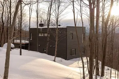 a house in the snow in the woods at Cottage 121 chemin Gilbert in Eastman