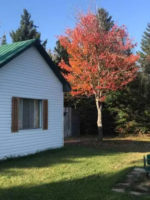 a tree with red leaves next to a house at LE JAZZ- Chalet rustique/chic avec SPA in Notre-Dame-Des-Bois