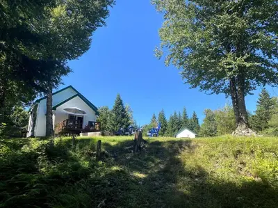 a small house in a field with a tree at LE JAZZ- Chalet rustique/chic avec SPA in Notre-Dame-Des-Bois