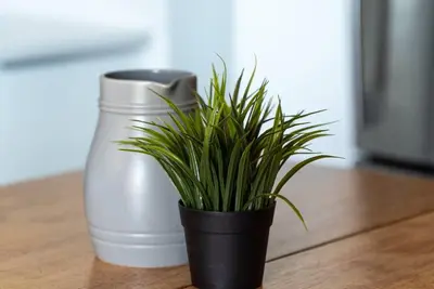 a potted plant sitting on a table next to a vase at Downtown Prestige: Parking, King Bed, Sleeps 6 in Sherbrooke
