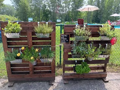 a garden with potted plants in wooden crates at Loft in Louiseville