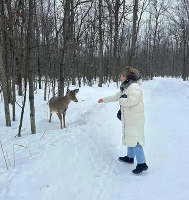 a woman standing in the snow with a deer at Cozy 1BR in Vieux-Longueuil +parking 14min Downtown in Longueuil