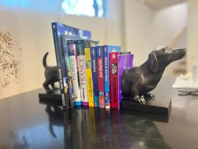 a book shelf with books and a statue of a dog at Basement 2-bedroom apartment near National Park and Montréal in Saint-Bruno-de-Montarville