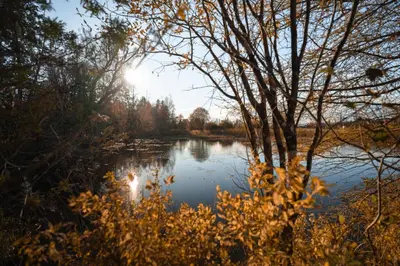 a view of a river with the sun reflecting on the water at MiniBora Le marin - Cantons-de-l'Est in Bury
