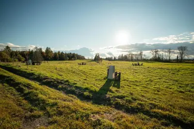 a field of grass with the sun in the background at MiniBora Le marin - Cantons-de-l'Est in Bury