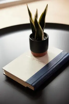 a plant in a pot sitting on top of a book at Chic 2 Bedroom apartment in Le Plateau by Denstays in Montréal