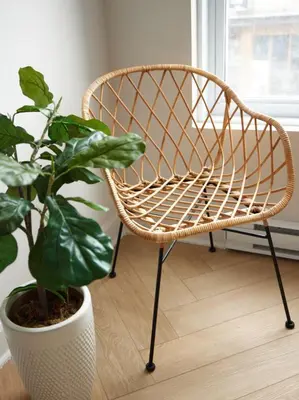 a wicker chair and a potted plant in a room at Spacious 2 bedroom apartment in Le Plateau by Denstays in Montréal