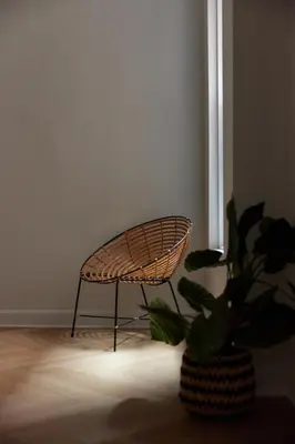 a chair and a potted plant in a room at Spacious 2 bedroom apartment in Le Plateau by Denstays in Montréal