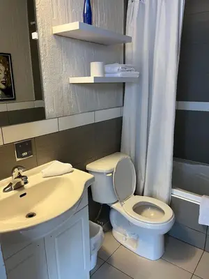 a bathroom with a white toilet and a sink at Motel la siesta de gascon in Terrebonne